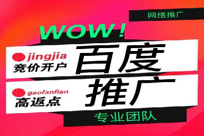 百度推广的精准定向技术案例